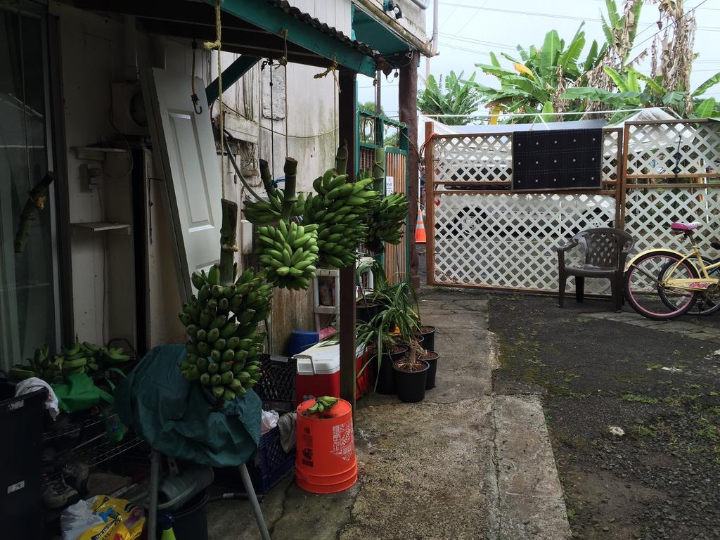 Wild Ginger Inn Hotel & Hostel Hilo Exterior photo