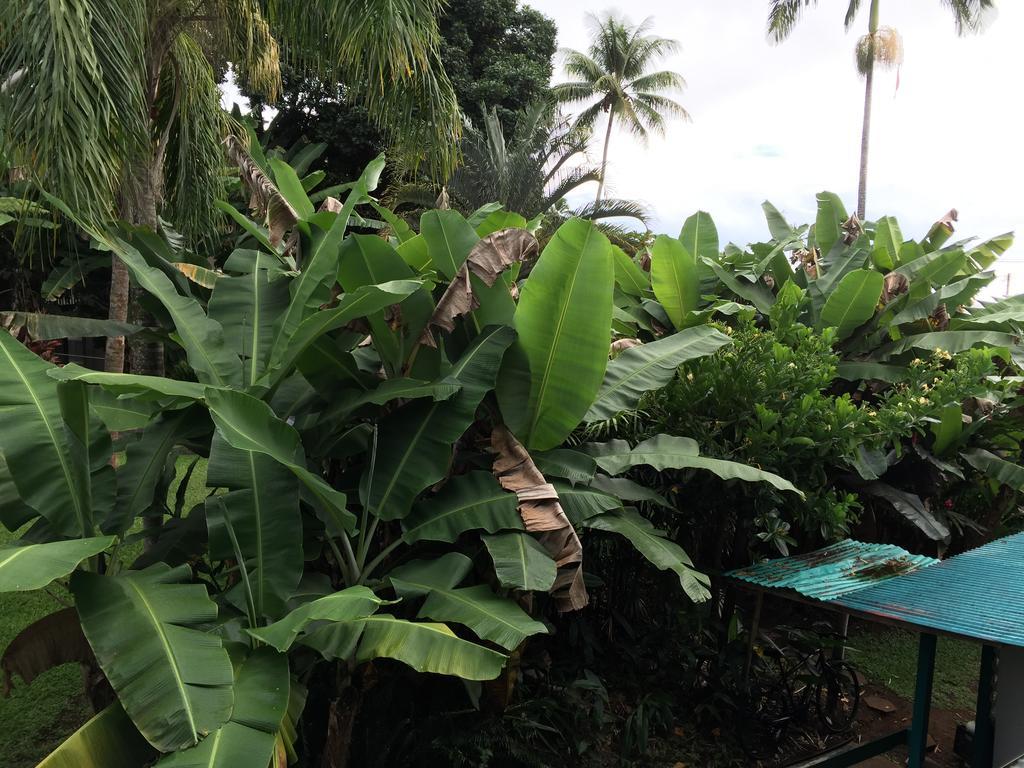 Wild Ginger Inn Hotel & Hostel Hilo Exterior photo