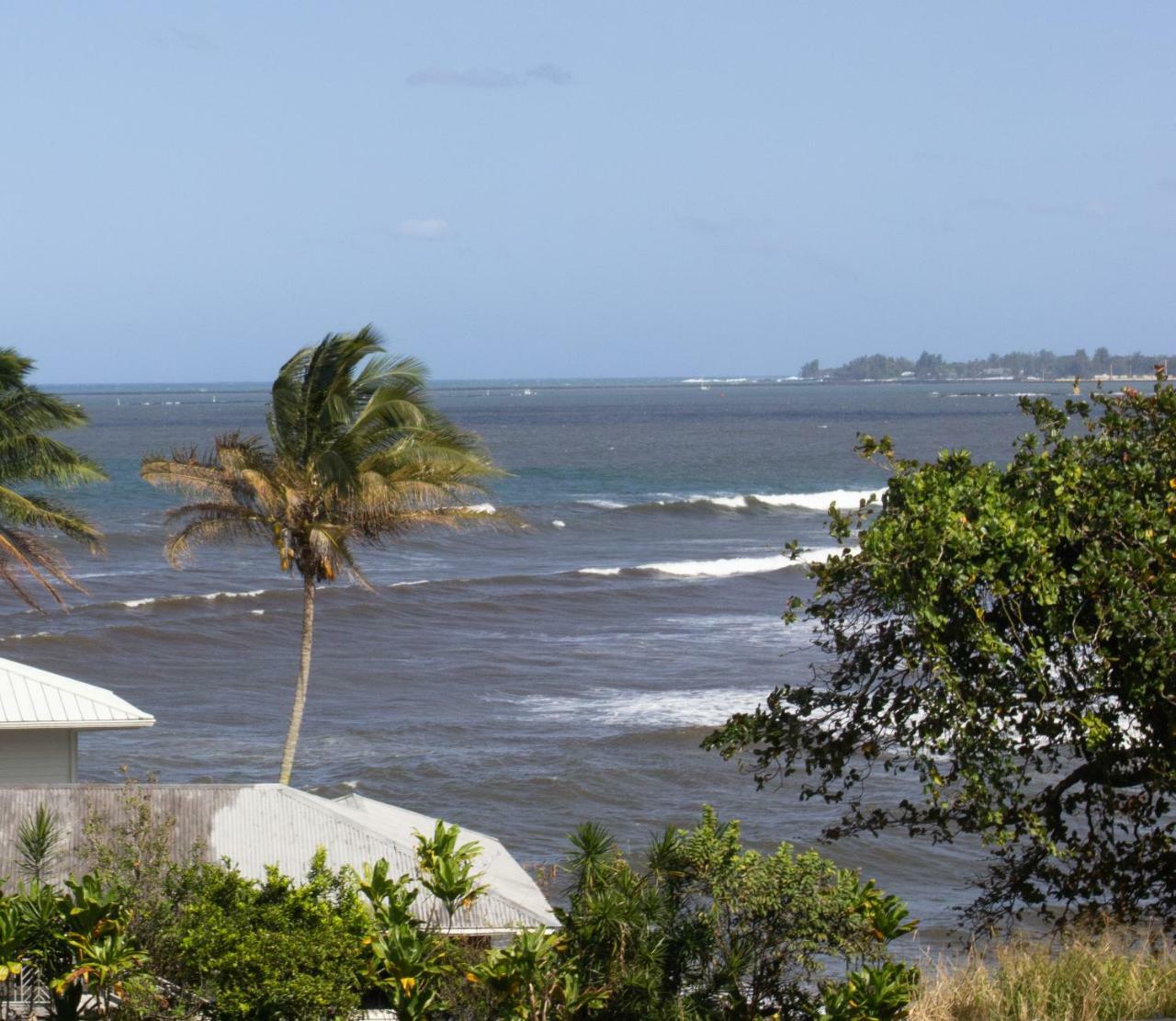 Wild Ginger Inn Hotel & Hostel Hilo Exterior photo